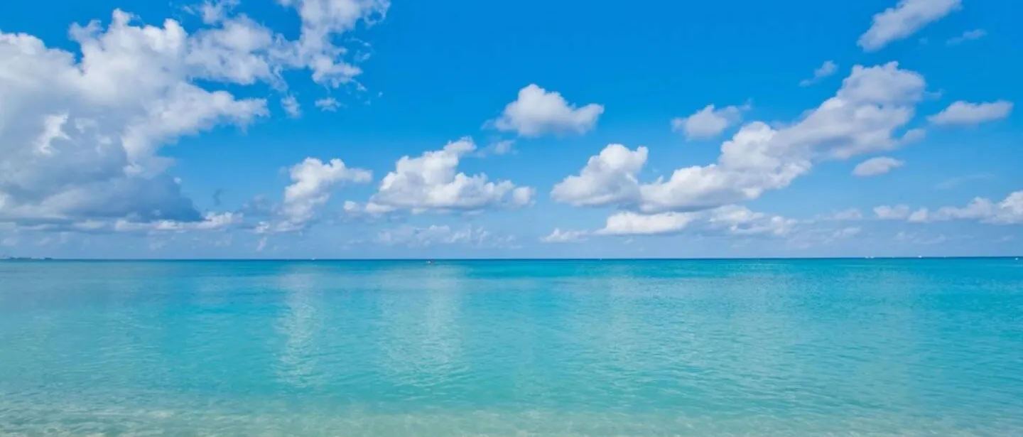 Modern 1 bedroom walking distance to the beach! — photo 10 of 22