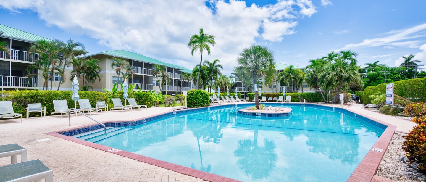 Resort-style pool oasis with palm trees and plenty of lounge seating