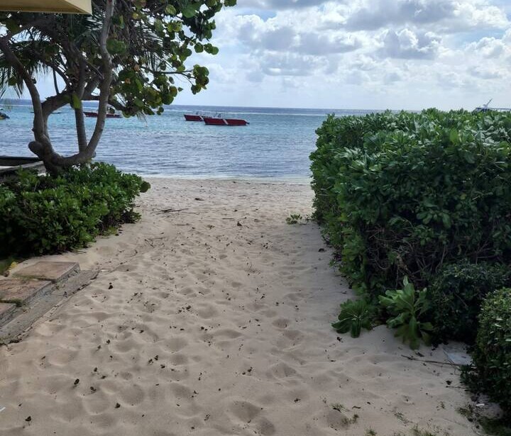 Beachside 2BR | Pool, Tennis & Shipwreck Views — photo 15 of 36