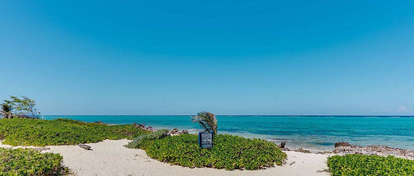 Ocean view 1BR, 1 min to beach, shared pool — photo 20 of 26