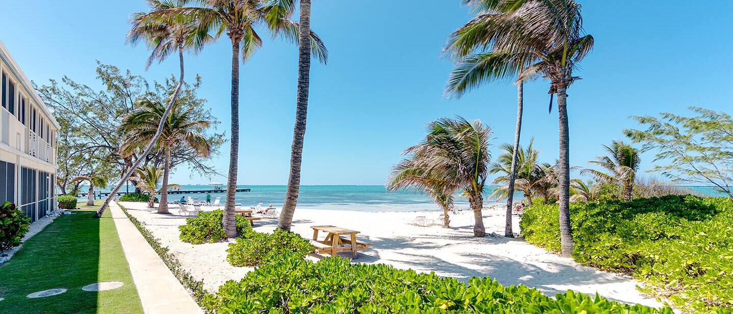 Ocean view 1BR, 1 min to beach, shared pool — photo 19 of 26