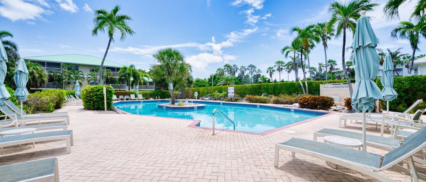 Resort-style pool deck with palm trees and loungers under sunny skies