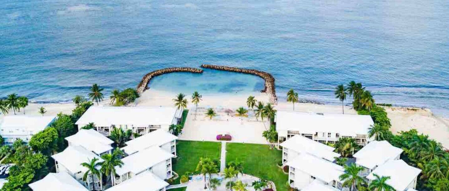 overview