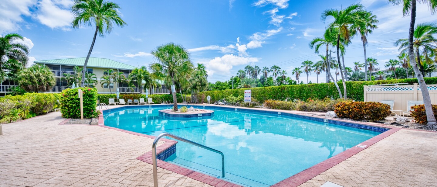 Resort-style pool oasis framed by palms and sunny open skies
