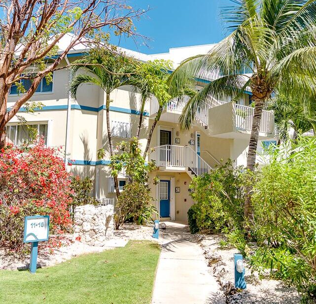 Ocean view 1BR, 1 min to beach, shared pool — photo 18 of 26