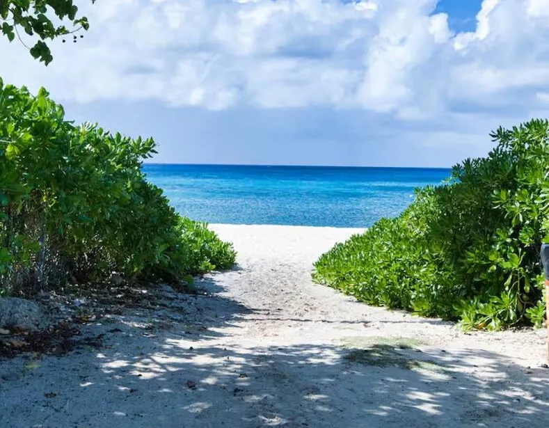 Beach Paradise – 1 Bedroom Home — photo 3 of 19