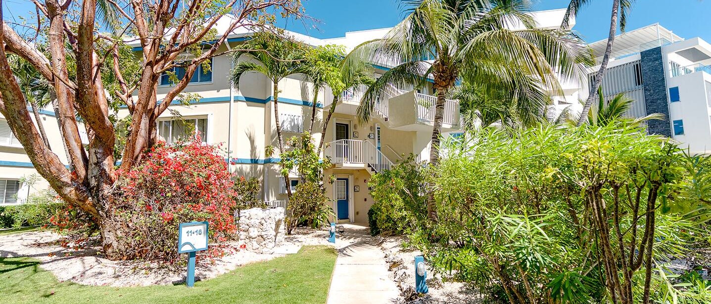 Ocean view 1BR, 1 min to beach, shared pool — photo 21 of 26