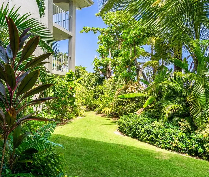 View onto garden from patio of 106