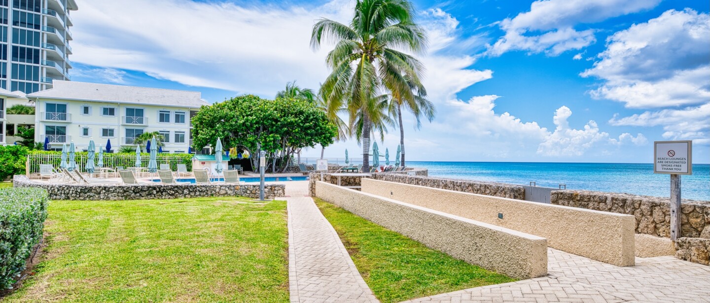 Oceanfront grounds with pool, palm trees, and easy beach access